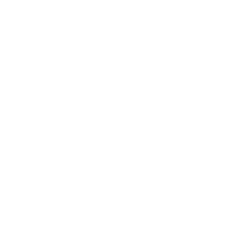 Shopify Integration Icon