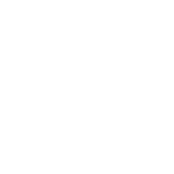 Shopify Integration Icon