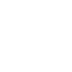 Shopify Integration Icon